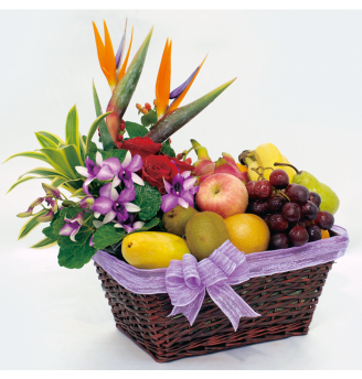 OFH11- Jovial Tropics
