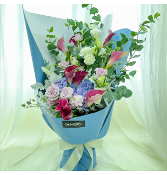 HB070 - Jacie