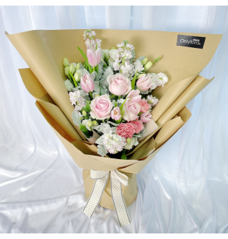 HB023 - Briella 