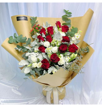 HB084 - Lucia