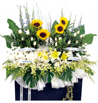 CS028 - Beautiful Tribute 