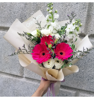 HB035 - Sera 