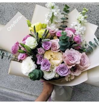 HB042 - Alene